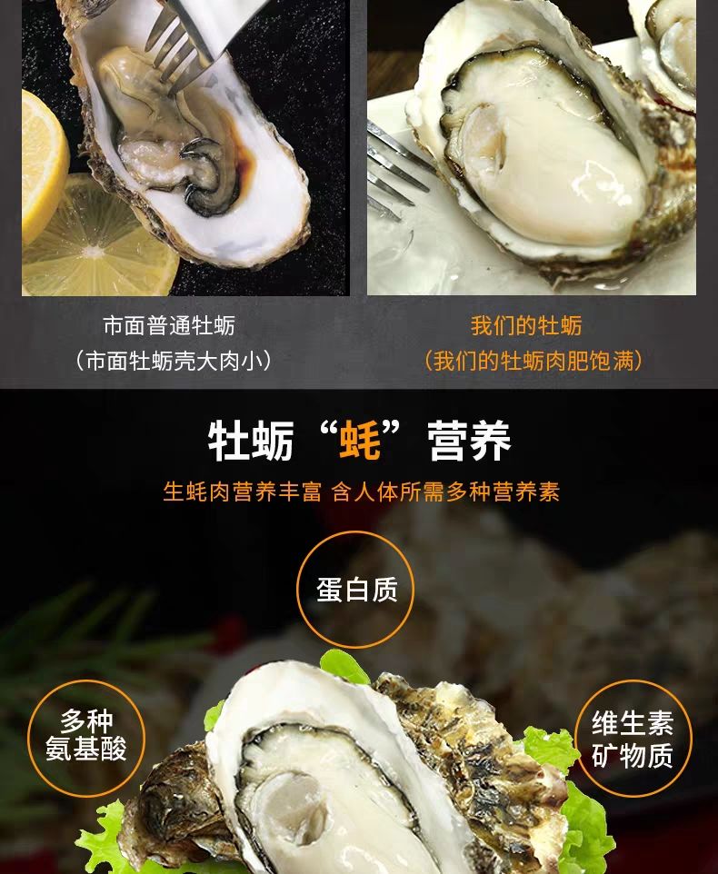 乳山牡蛎 乳山生蚝厂家直销一件代发