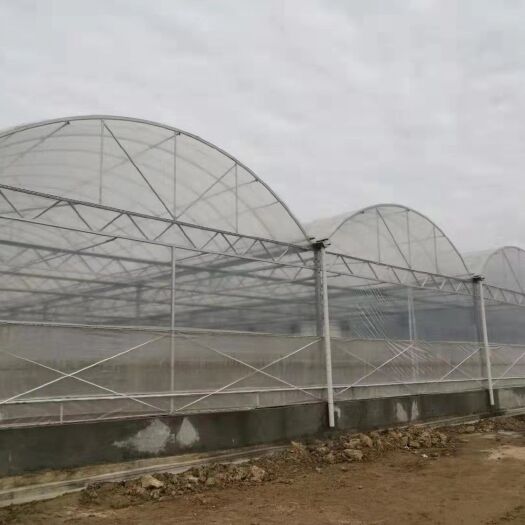 泊头市蔬菜大棚