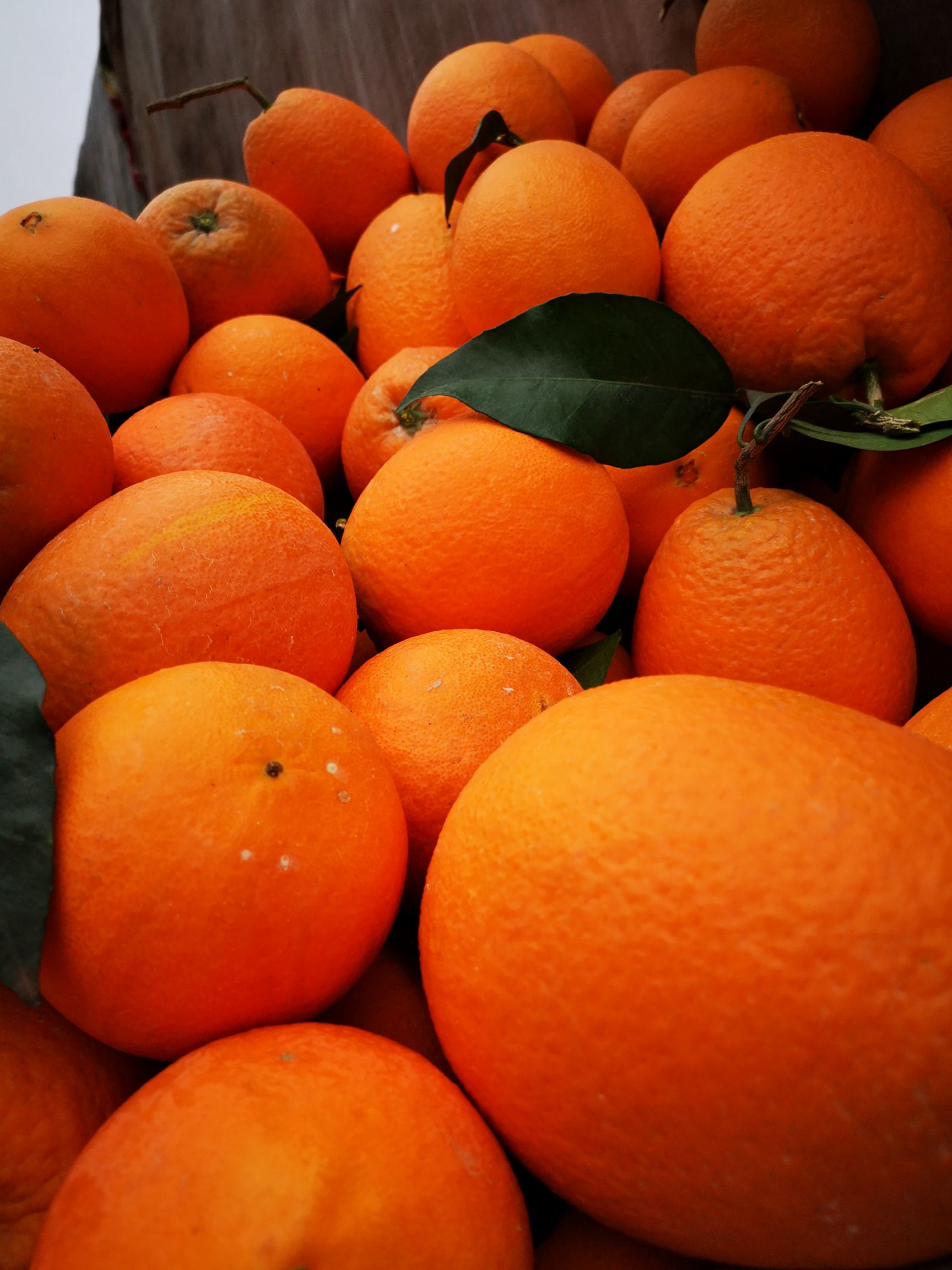 纽荷尔脐橙  秭归脐橙 长虹脐橙 纽荷尔橙子  中华红血橙果