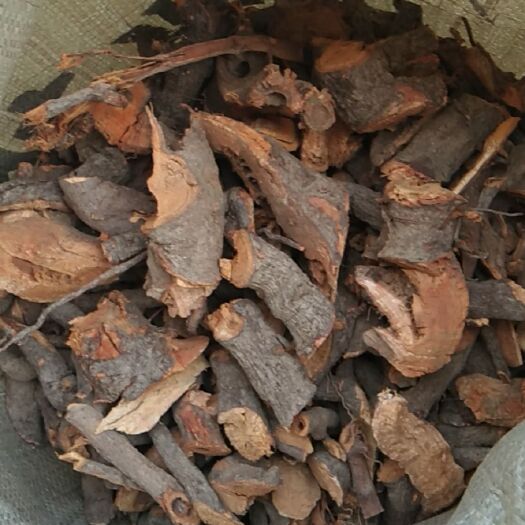 古蔺县 纯虎杖大货，随时有现货供应，欢迎骚扰