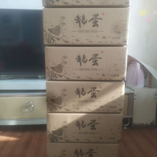 宁阳县大三花鹅苗 三花鹅蛋