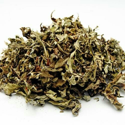  艾叶 中医馆直销 品质保证 精品