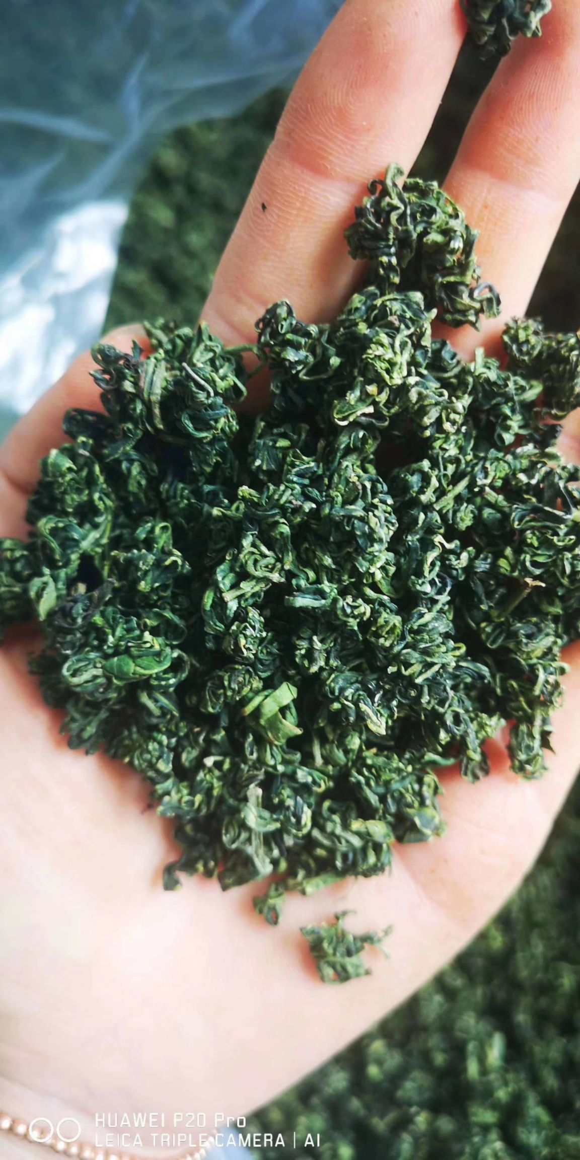 枸杞芽茶枸杞茶宁夏特产中宁枸杞芽茶铁盒装