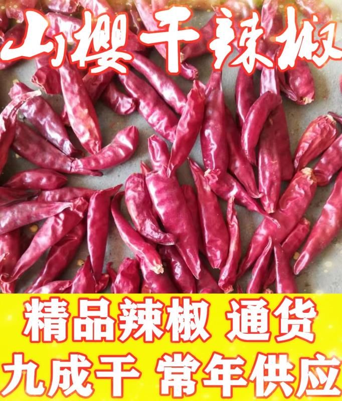 金乡县干辣椒  山东金乡各种规格品种的精品辣椒，量大从优，欢迎订购