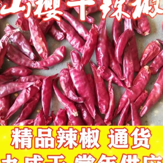 干辣椒  山东金乡各种规格品种的辣椒，量大从优，欢迎订购