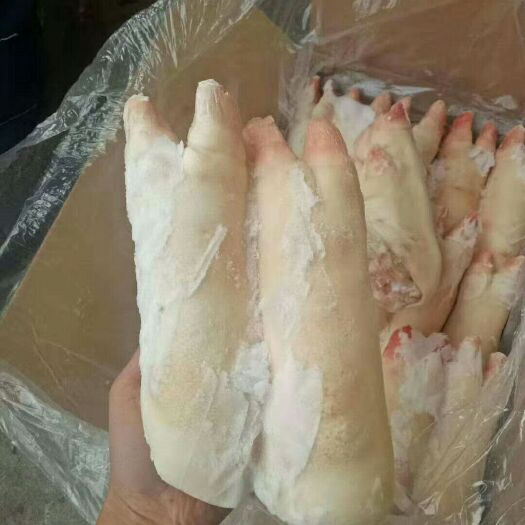 临沭县 猪蹄