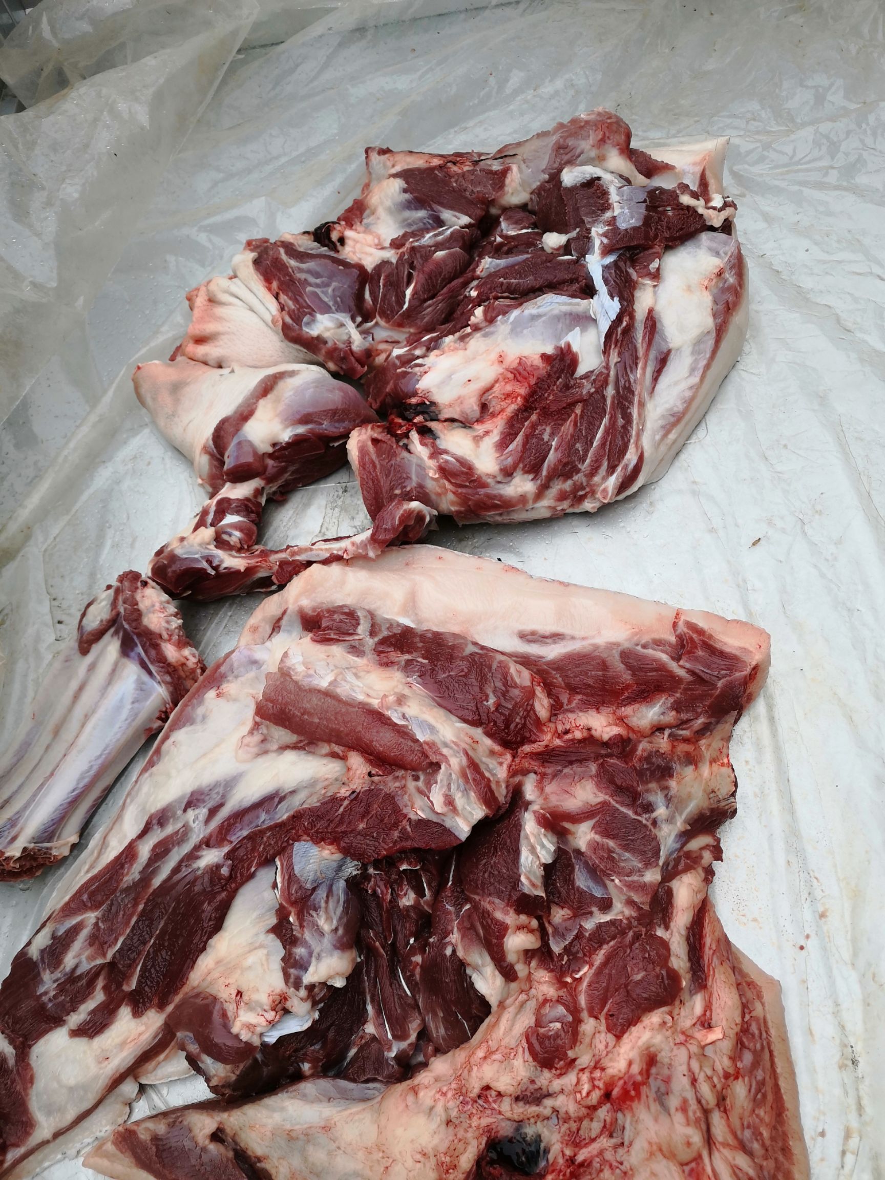 五花肉  黄金寨力晨山庄生态养殖黑土猪肉
