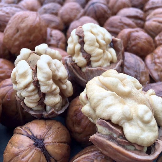 黑水县 2019黑水县知木林有机绿色薄皮核桃干核桃产地批发样品十斤