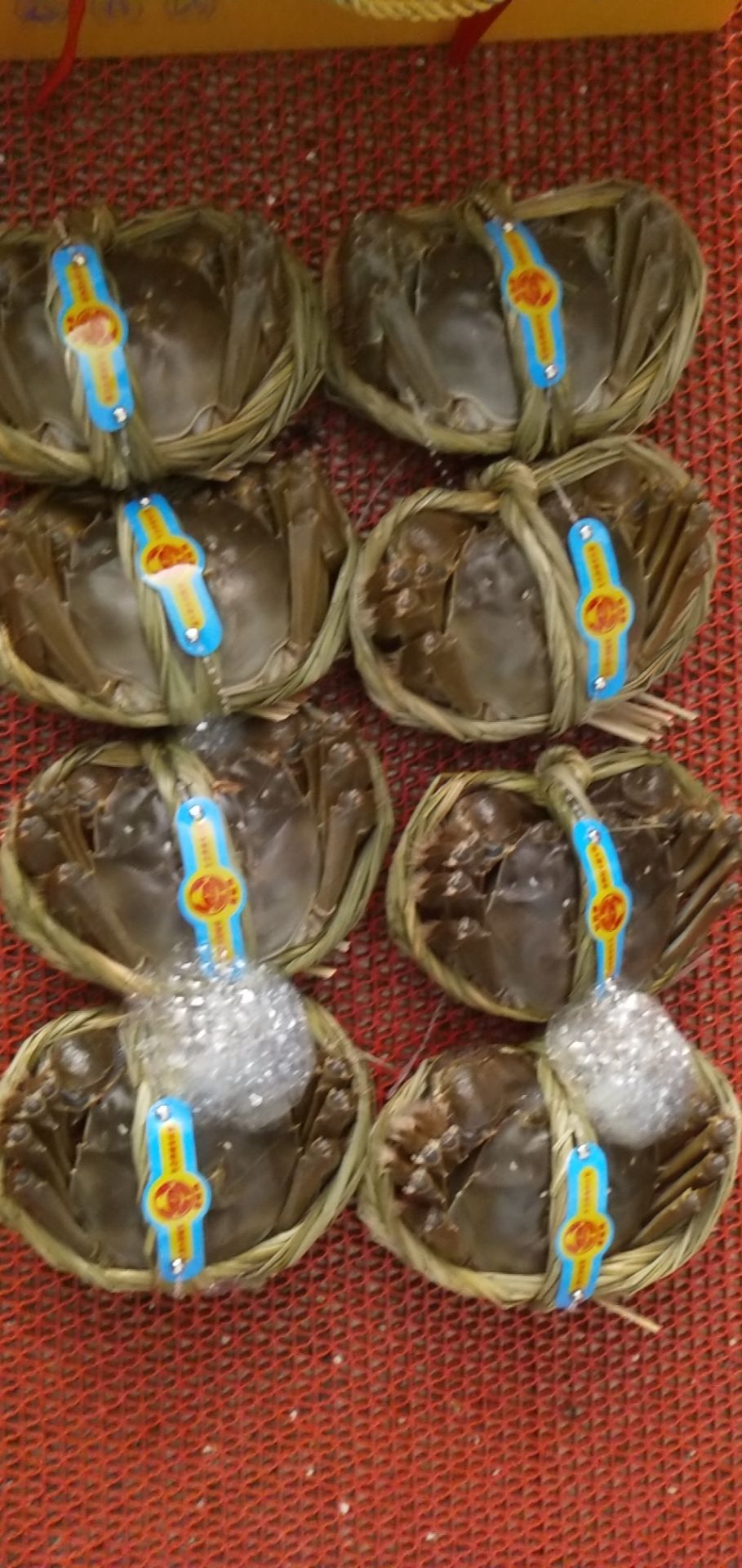 固城湖大闸蟹 长期供应优质菜螺