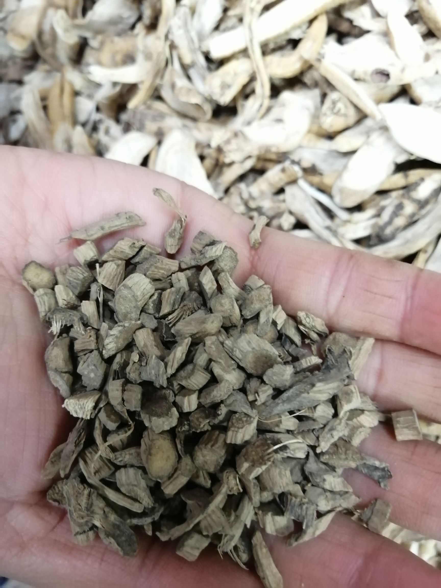 中药材川牛膝别名:百倍牛茎脚斯蹬怀夕怀膝淮牛膝红牛膝