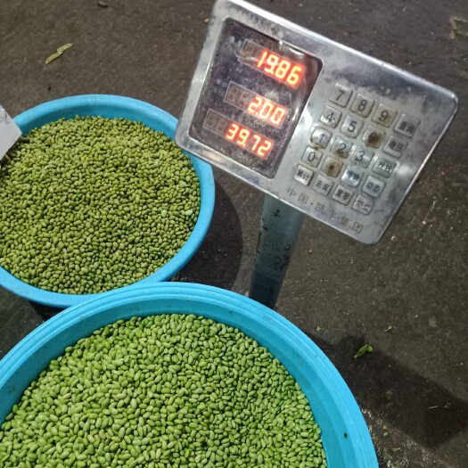 长沙 青色的干毛豆米"