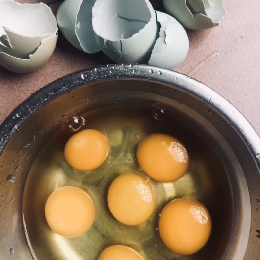 连州市 农家果园散养土鸡蛋，40g－45g/枚，散养鸡供应