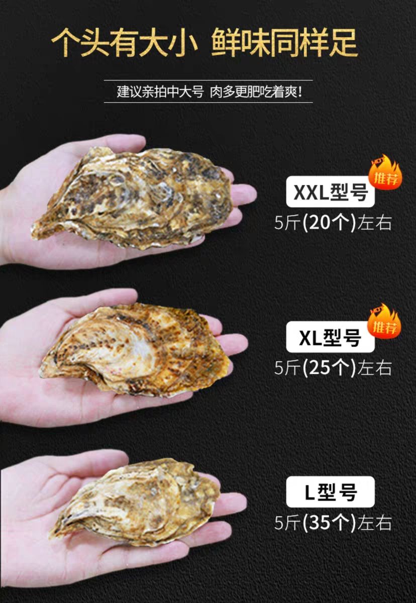 乳山牡蛎 乳山生蚝厂家直销一件代发