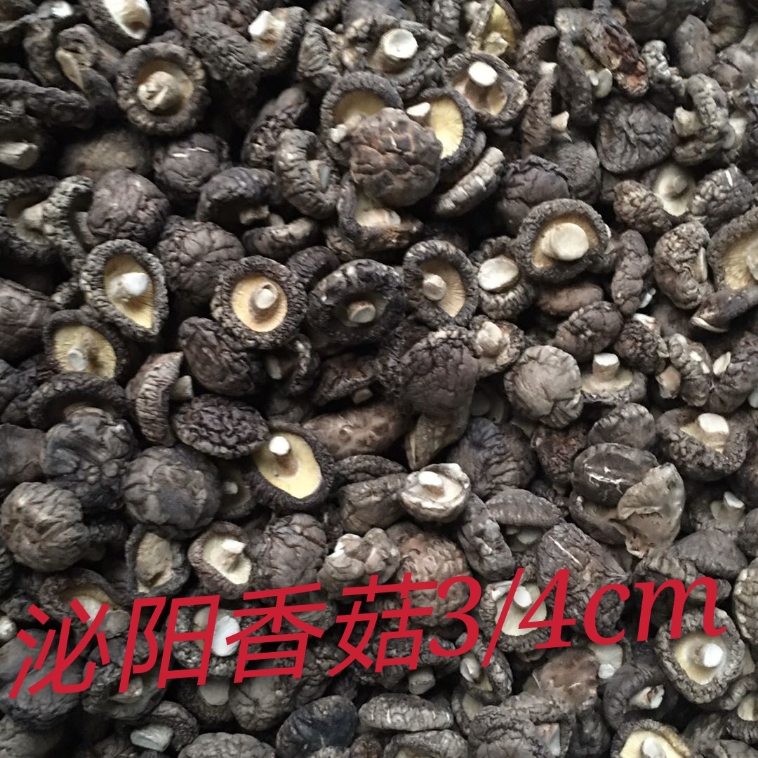 普通香菇 中国泌阳干菇批发自产自销