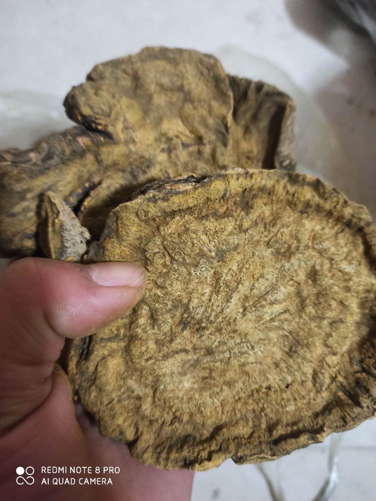  大黄  无硫高含量，一手货源，专营中药批发