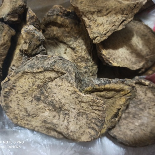 亳州 大黄  无硫高含量，一手货源，专营中药批发