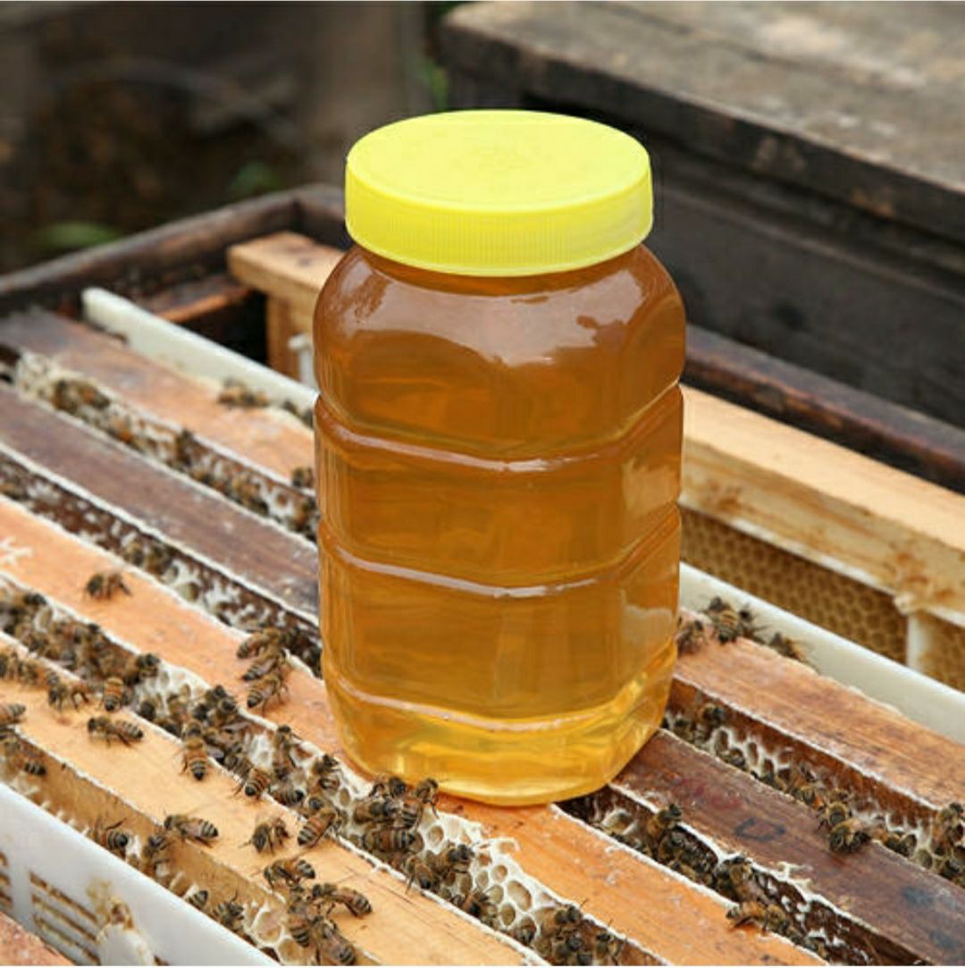  山佬自家蜂蜜销售，岭南鸭脚木冬蜜