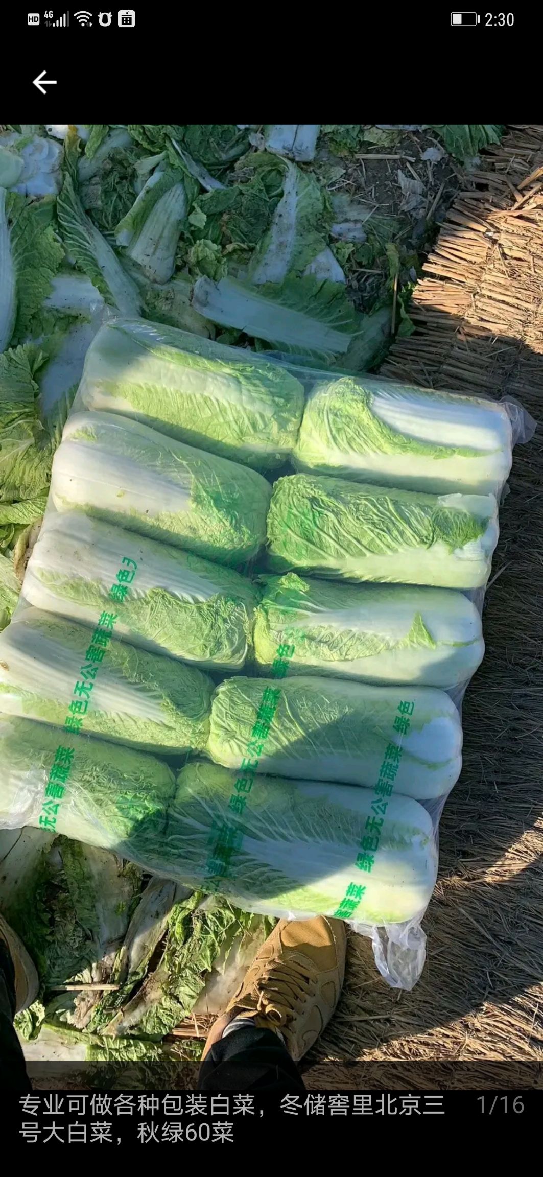  大白菜防雾包装袋  白菜透明包装袋  厂家批发  质量好