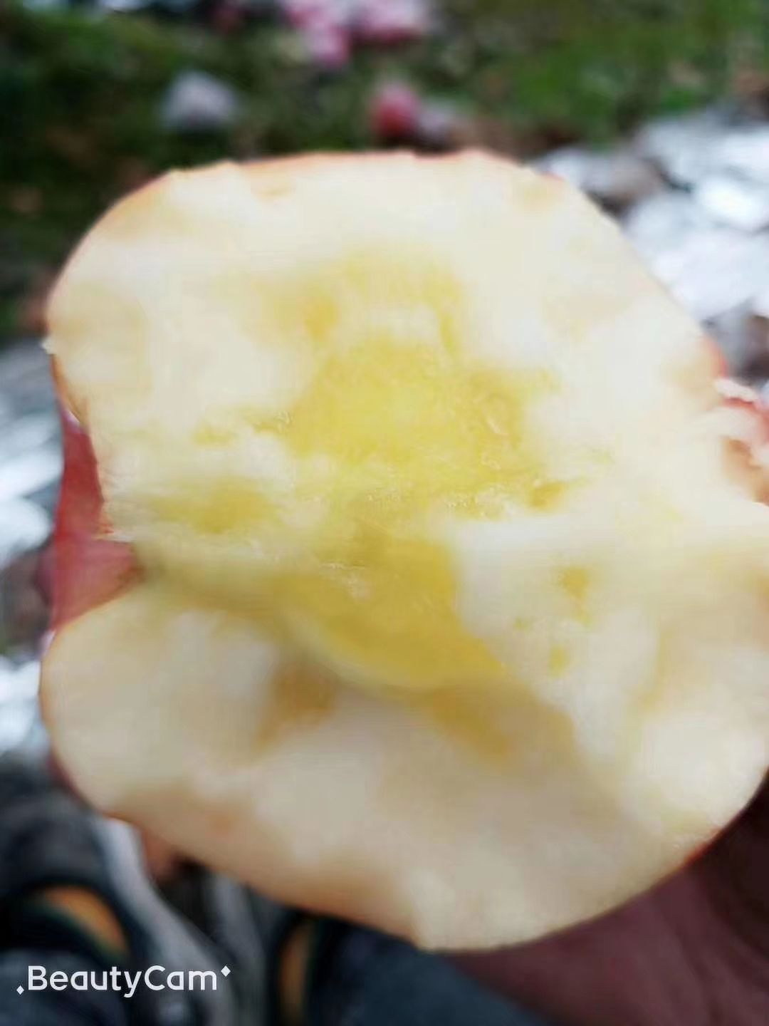 冰糖心苹果 陕西洛川新鲜红富士冰糖心水晶红富士24个