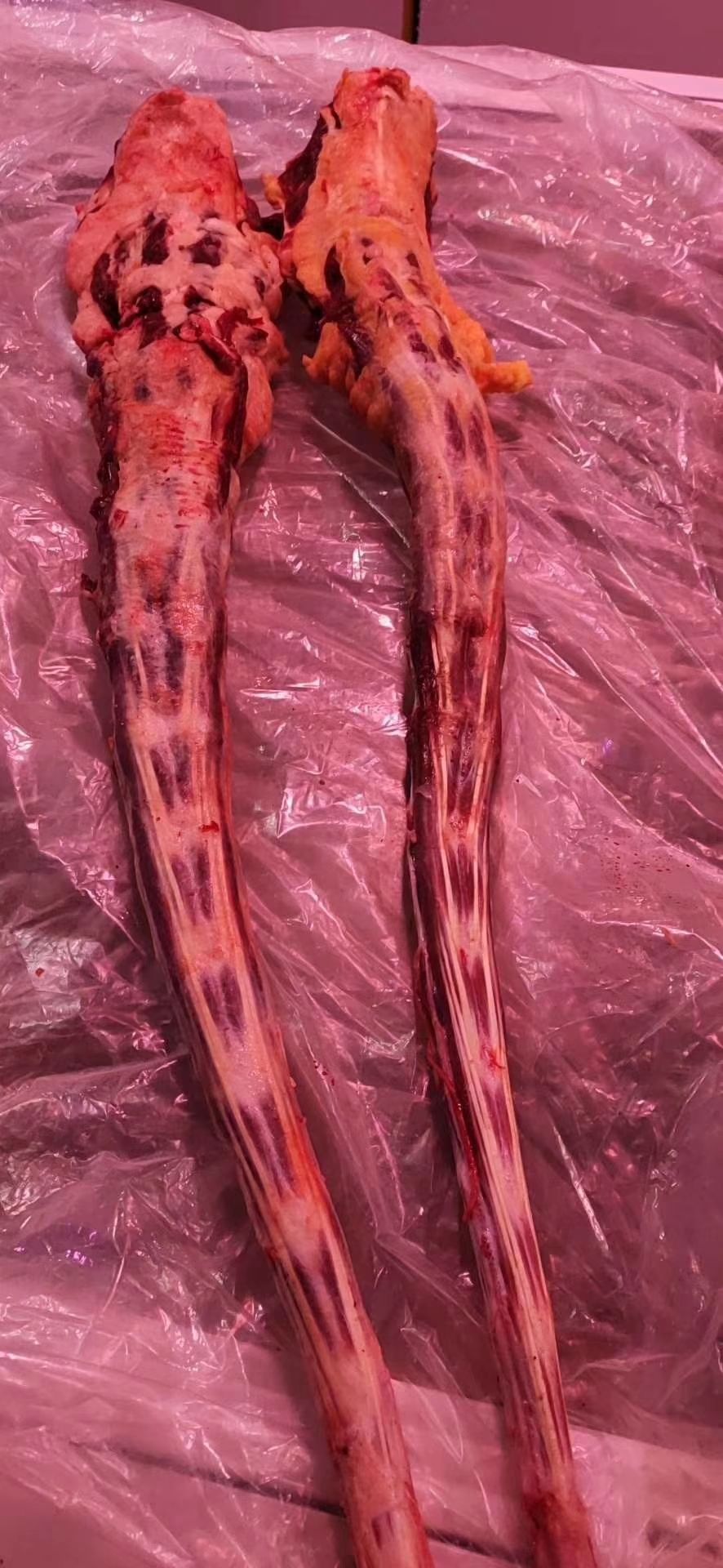 冷库长年批发牛尾