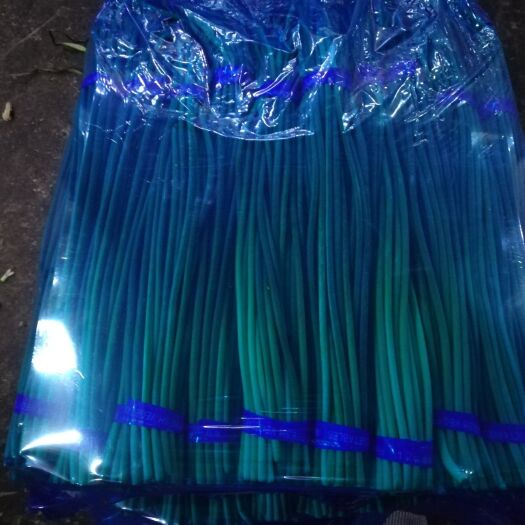 金乡县红帽蒜苔  蒜薹，常年供应，精加工包装，原包装