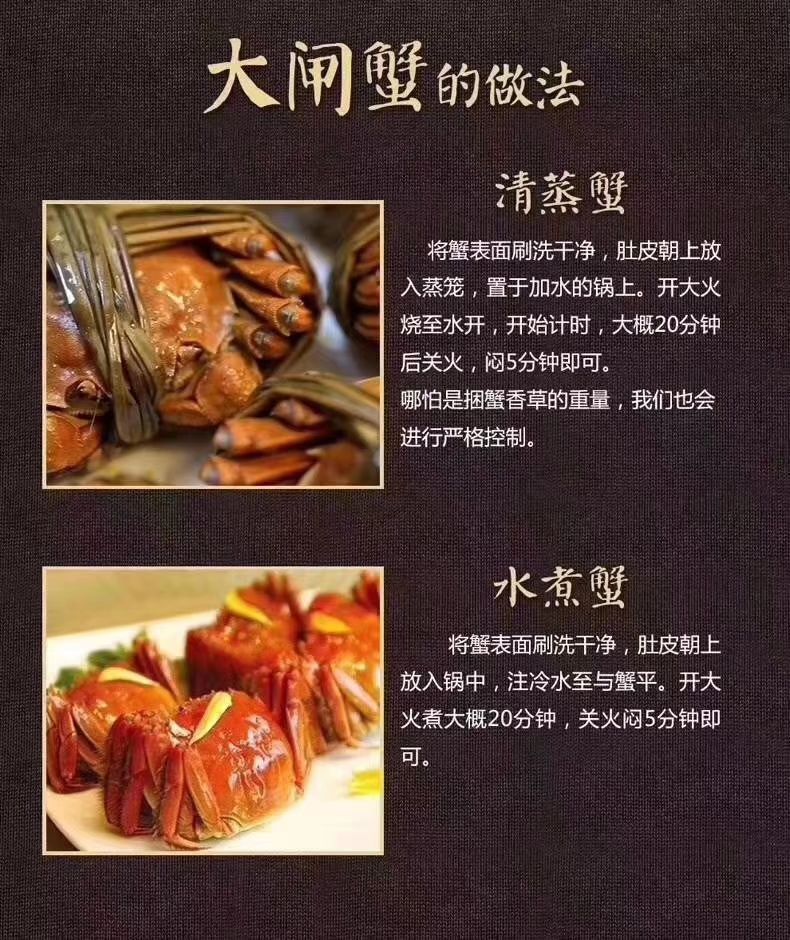 固城湖大闸蟹 长期供应优质菜螺