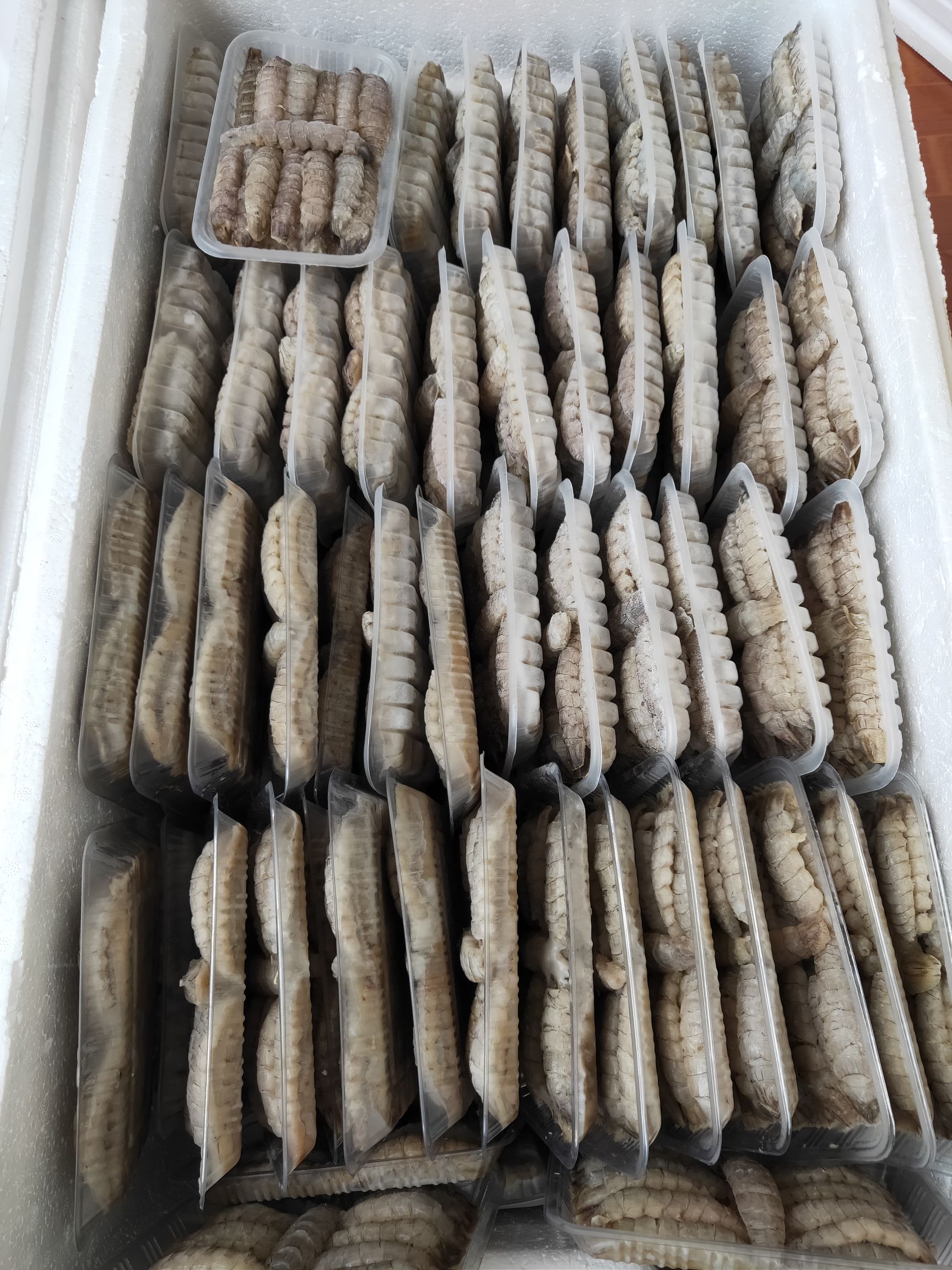 冷冻皮皮虾 原浆皮皮虾生肉，个大鲜美