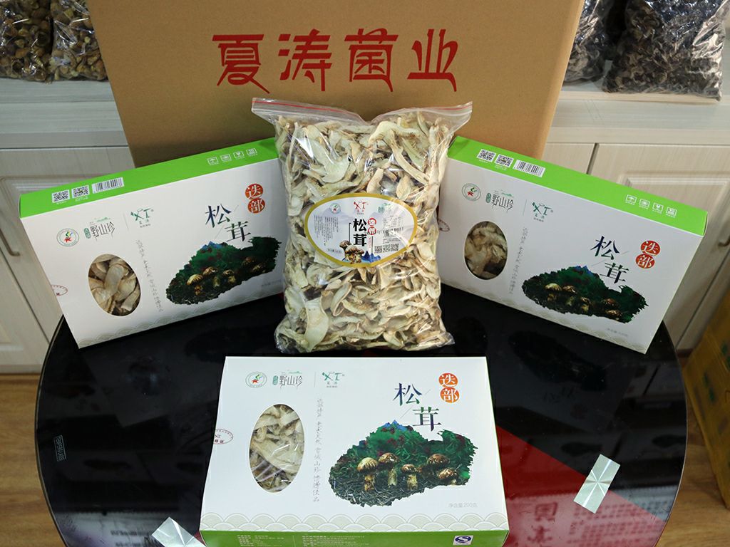  迭部特产松茸