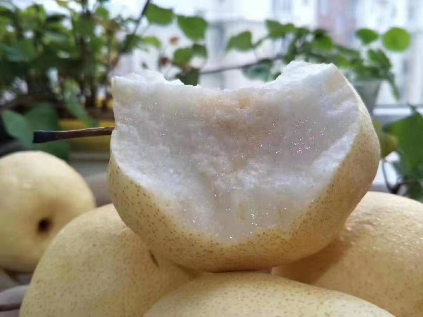 蒲城酥梨，香甜可口，皮薄