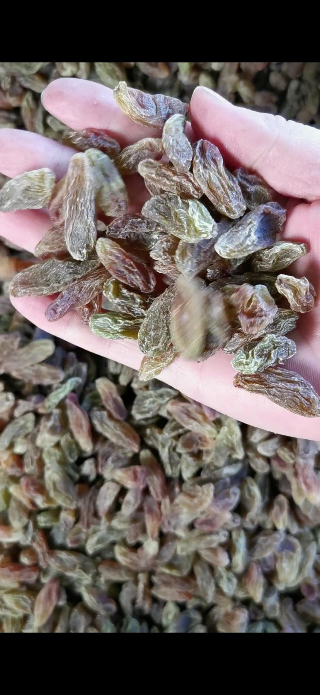 绿香妃葡萄干 绿香妃