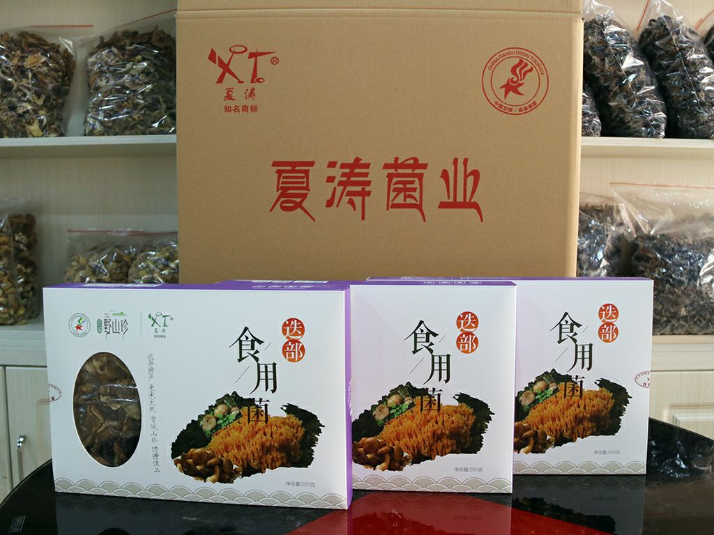 珊瑚菌 迭部特产食用菌