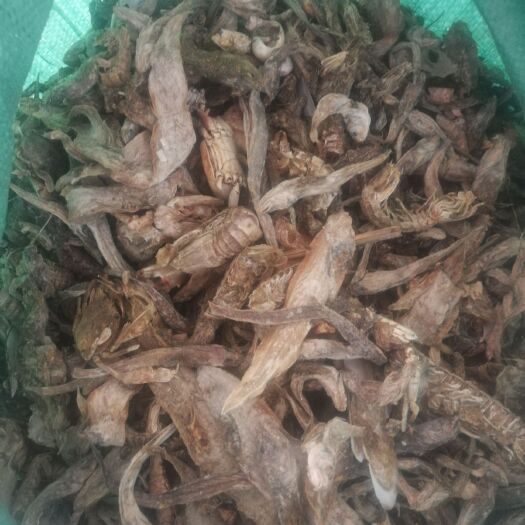 海兴县饲料鱼  杂鱼干