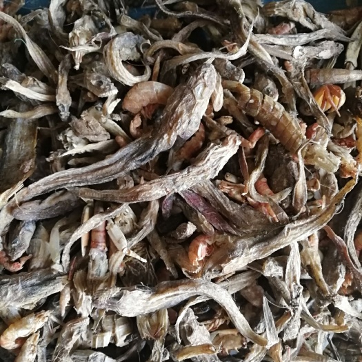 海兴县鱼粉  饲料鱼干