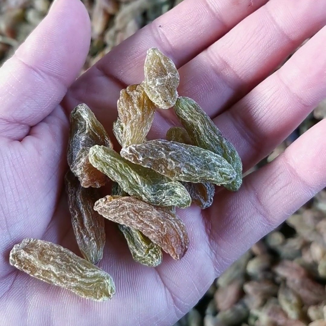 绿香妃葡萄干 绿香妃
