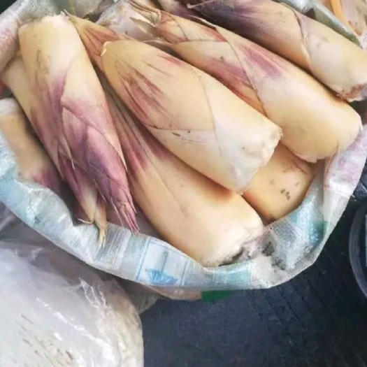 桂林黃尖筍 甜筍