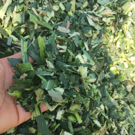 唐山玉米秸秆