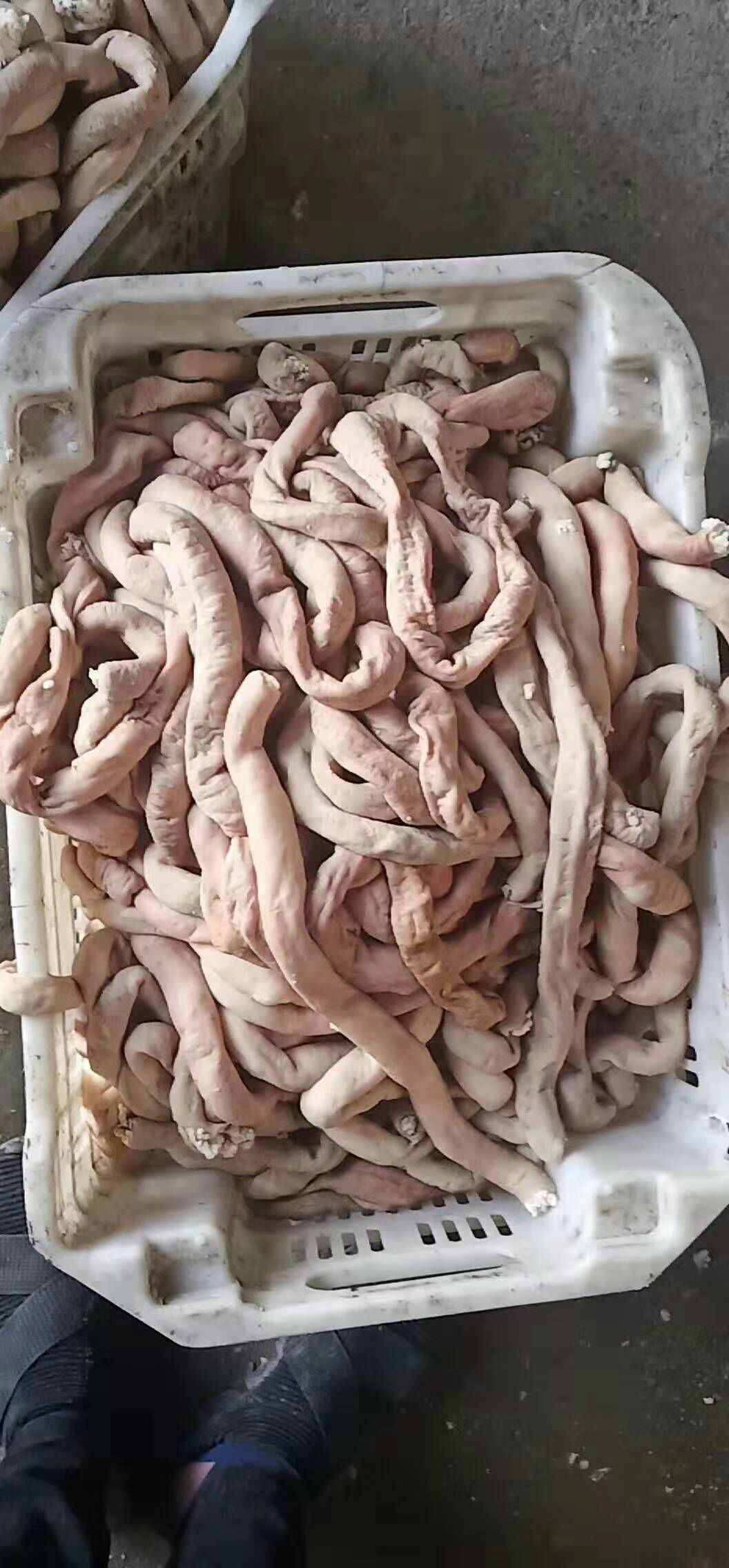 阳信县 牛小肠