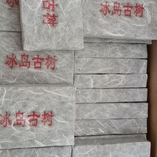耿马县龙游黄茶 冰岛黄金叶