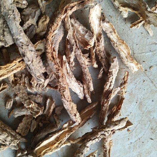 礼县甘肃地骨皮无假统货选货