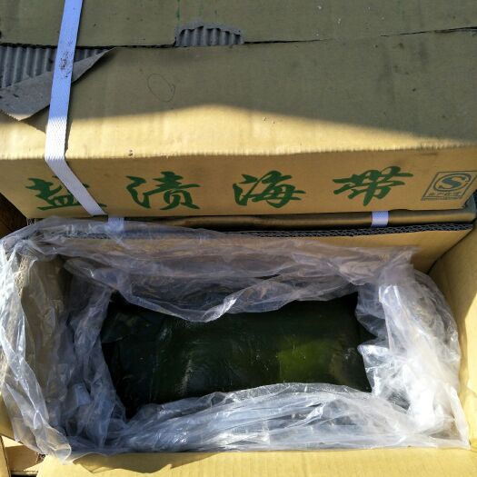威海盐渍海带 天然绿色食品 补充维生素 绿色植物典   老人孩子更健康