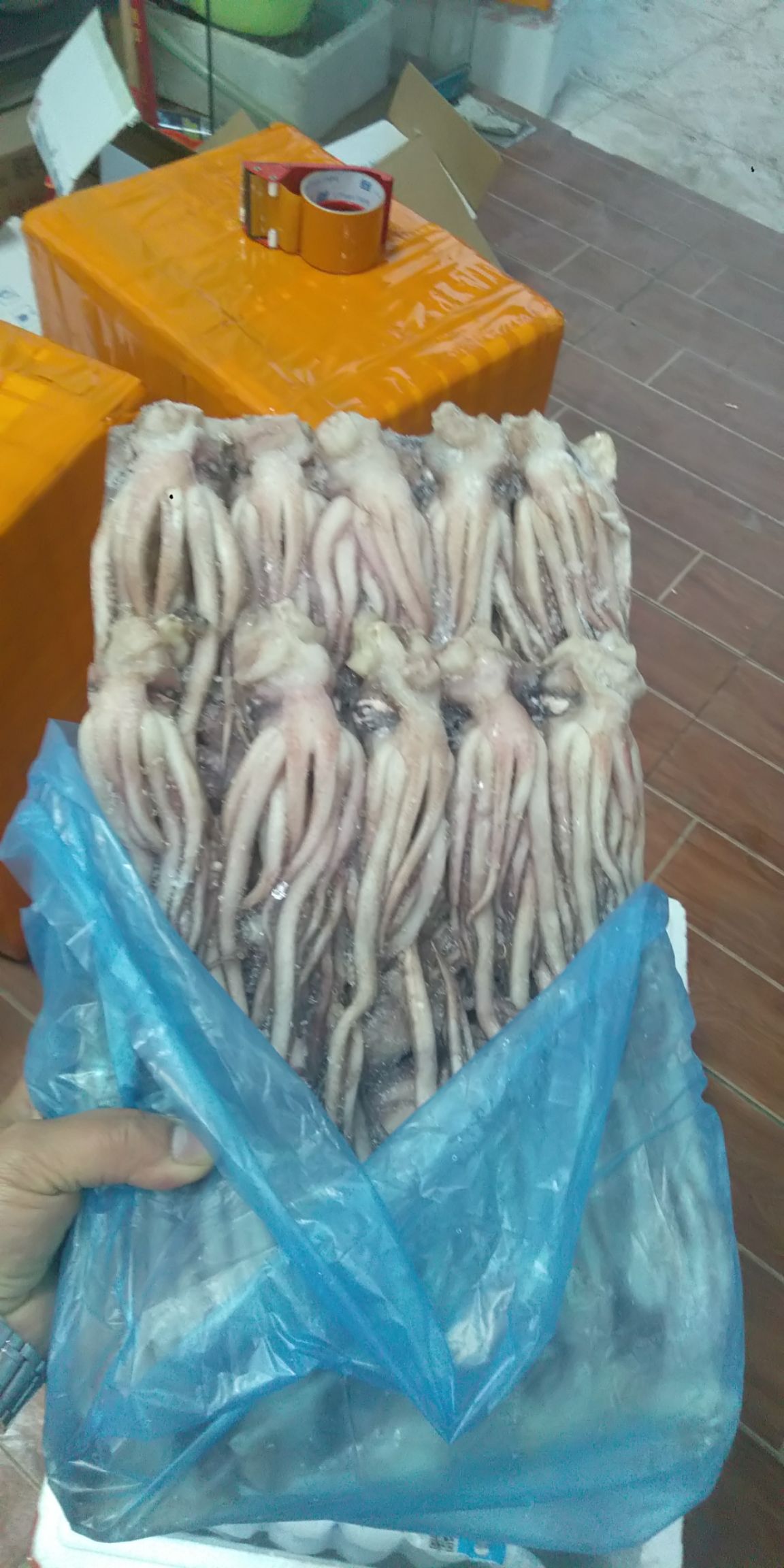  阿根廷鱿鱼须鱿鱼头新鲜速冻货 当天发货
一手货源 欢迎询价