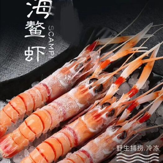 荣成市东海鳌虾 海螯虾