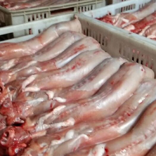 获嘉县兔肉类 纯干无水鲜肉，质量有保证