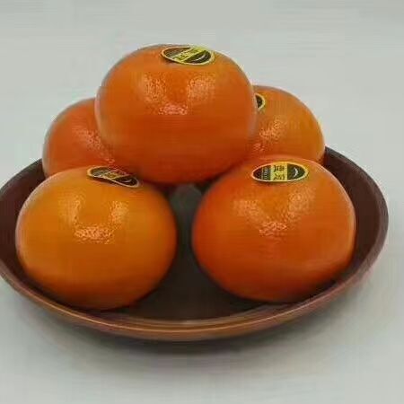 昆明 【精美礼盒】云南沃柑送人礼盒装5/9斤超值礼盒装