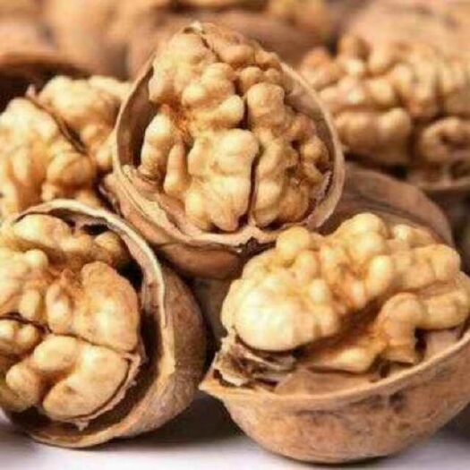 库尔勒市 新疆185纸皮核桃