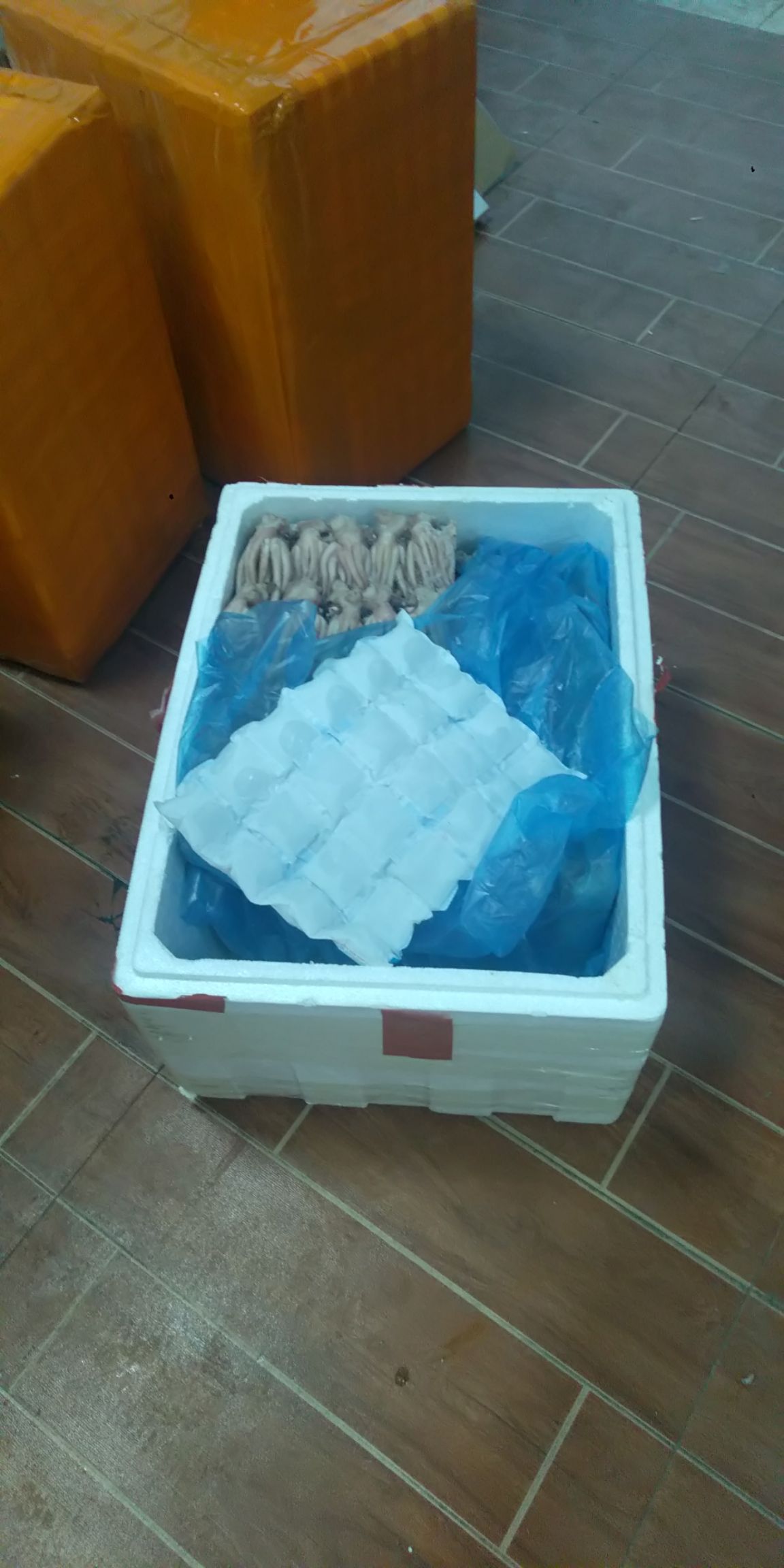  阿根廷鱿鱼须鱿鱼头新鲜速冻货 当天发货
一手货源 欢迎询价