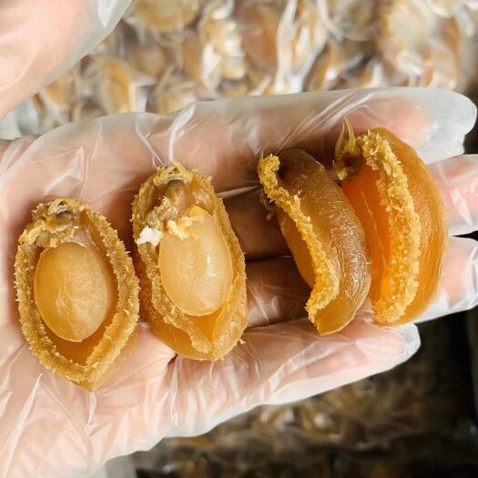 广州鲍鱼干 干鲍鱼大量批发
