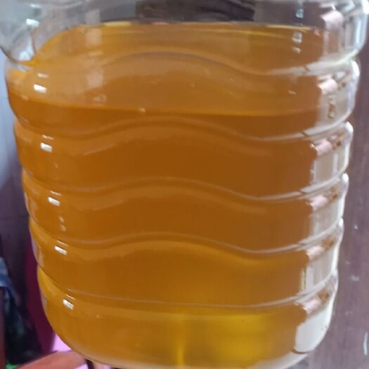 罗城县冷榨山茶油