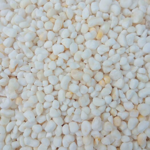  鲜糯玉米籽去皮玉米仁，好吃不贵，营养丰富。速冻糯玉米仁