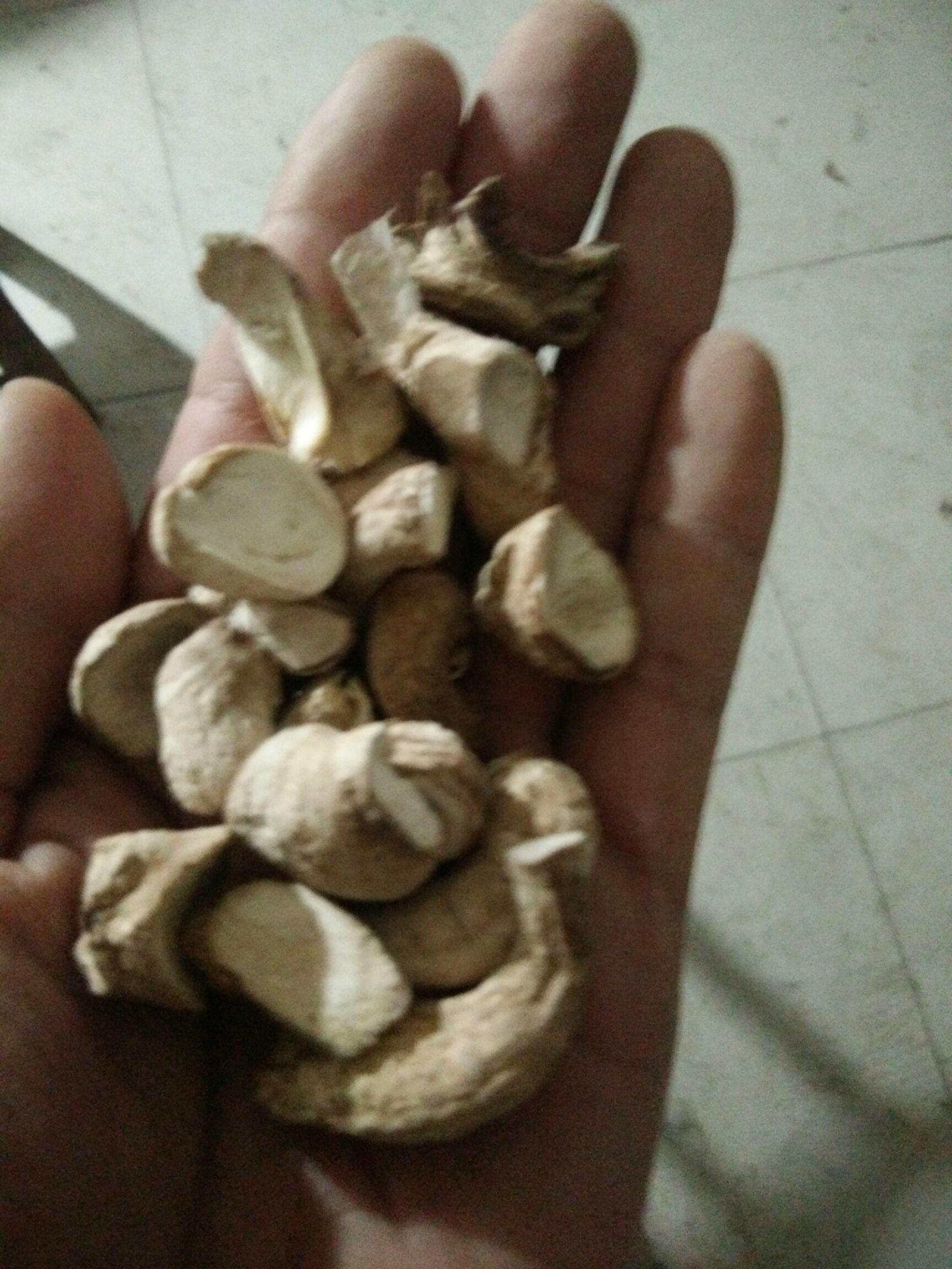 内乡县香菇脚，各种规格，年供应量500吨对接食品加工厂